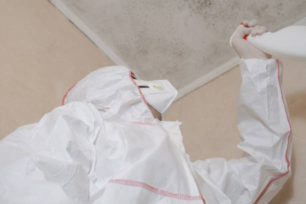 Best Crawl Space Mold Removal  in Phelan, CA