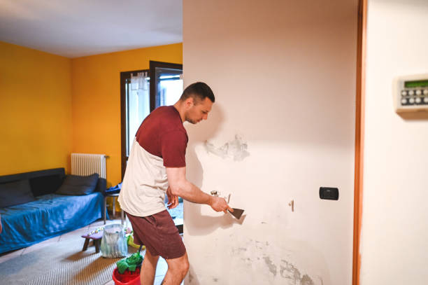 Best Crawl Space Mold Removal  in Phelan, CA